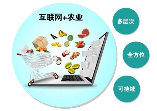 互聯(lián)網(wǎng)+農(nóng)產(chǎn)品推進(jìn)模式 從田間到指尖的智慧轉(zhuǎn)型